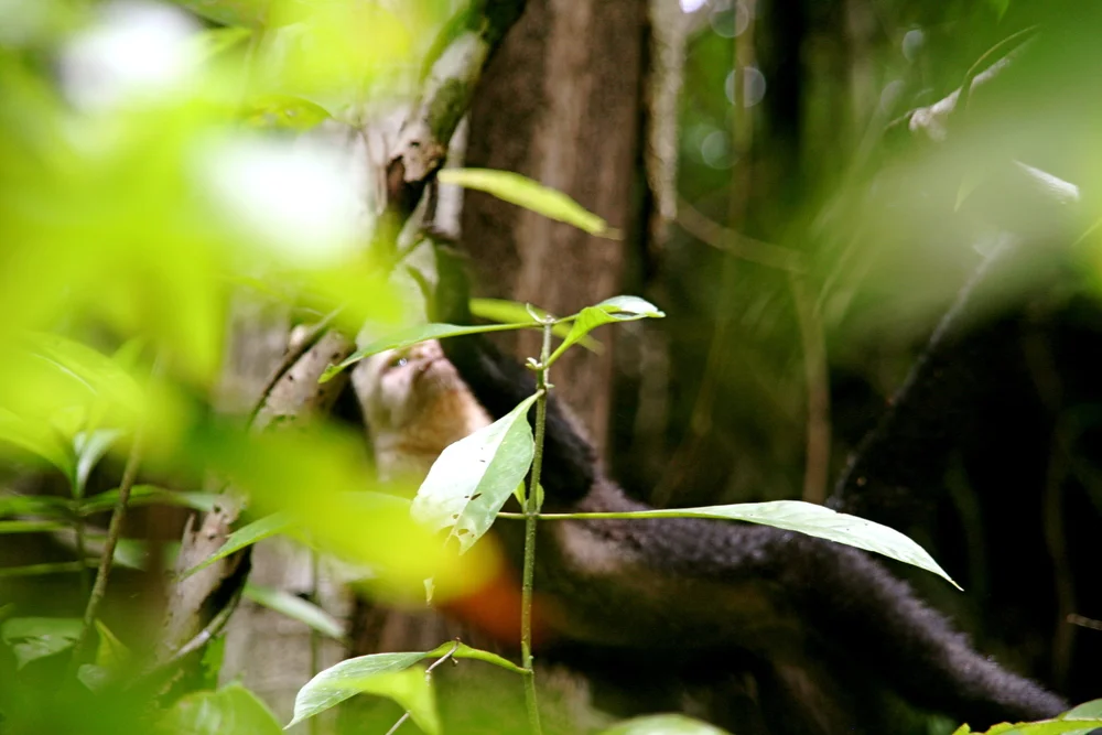 What I am grateful for: the opportunity to travel