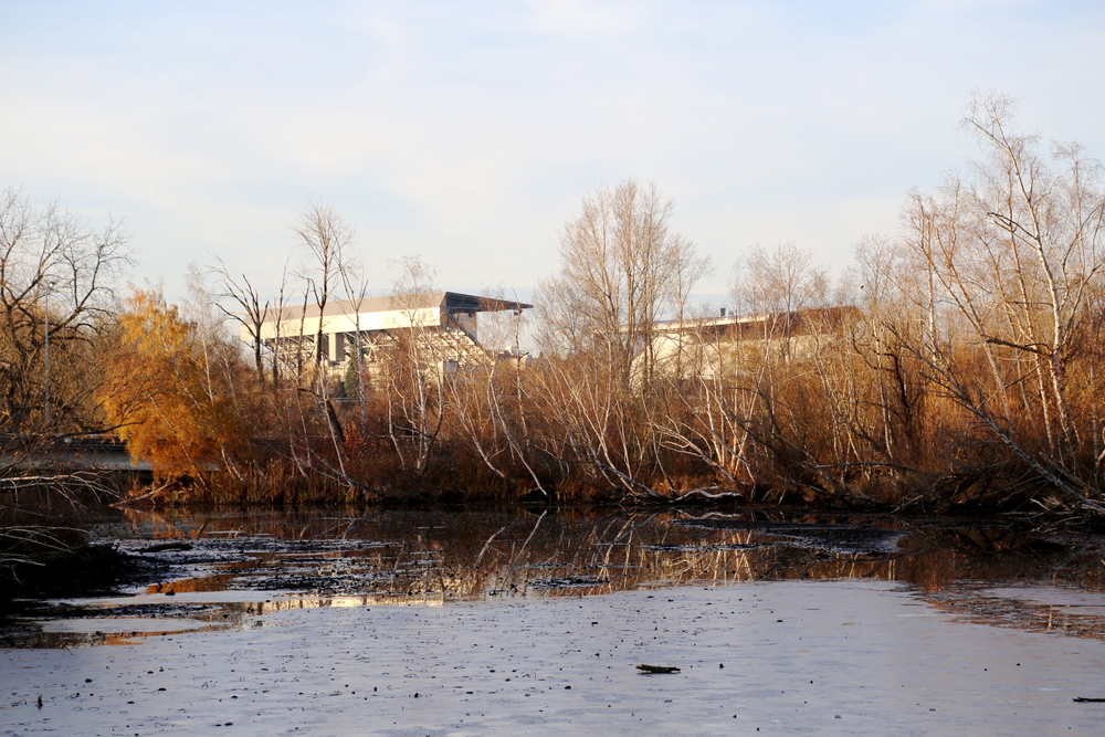 merrily, merrily, merrily…...life is but a dream