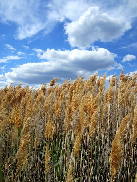 Our Year in Review: Part Two