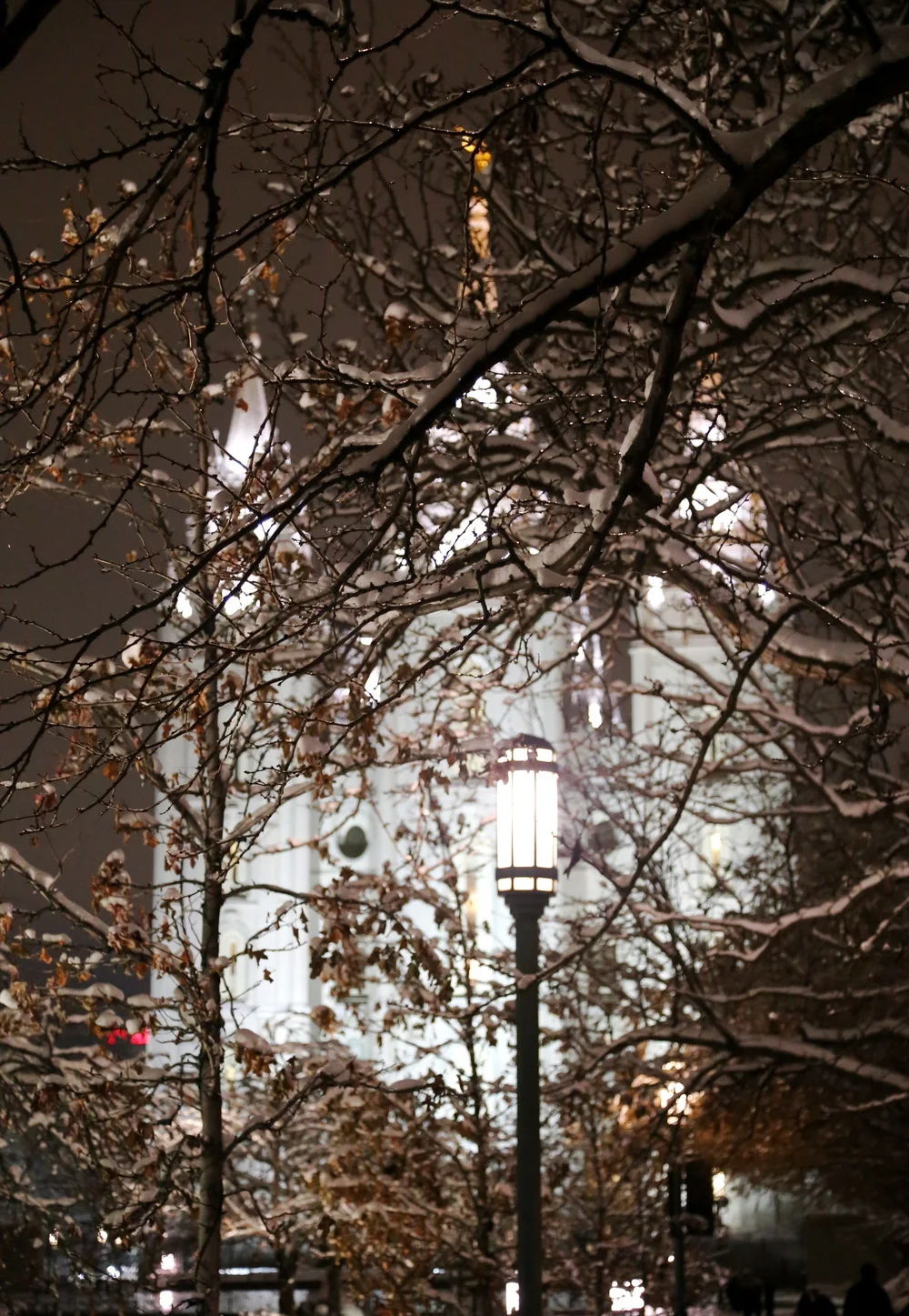 Winter walk through Temple Square