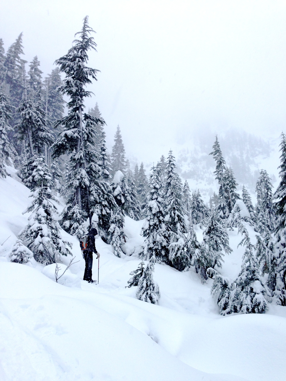 Seeing your surroundings through new eyes