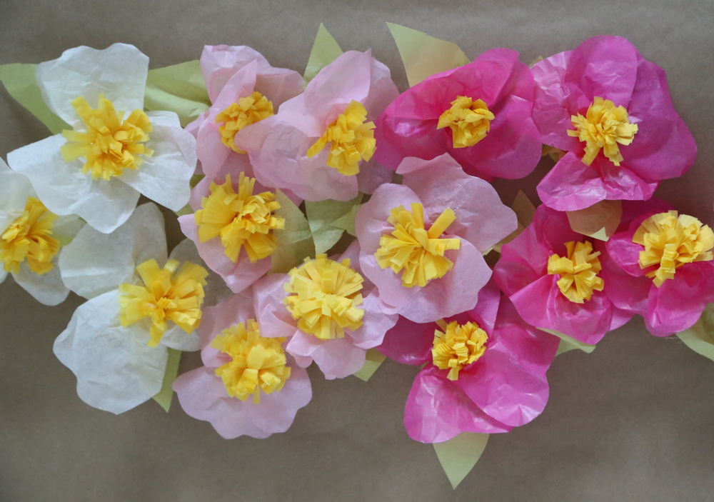 Simple tissue paper flowers