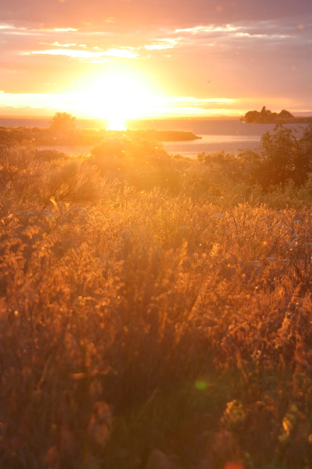 Questions and answers