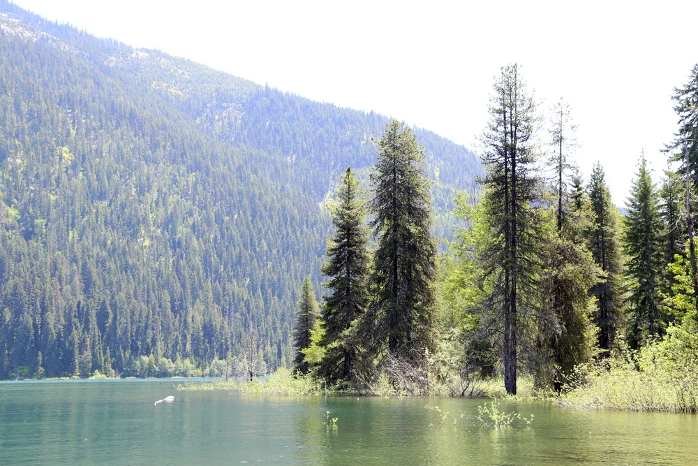 Lake Kachess State Park