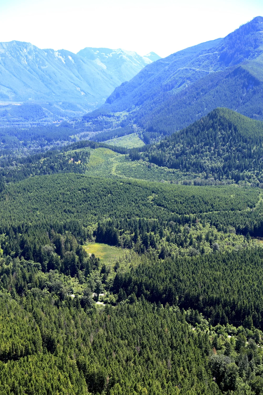 The art of spending time alone