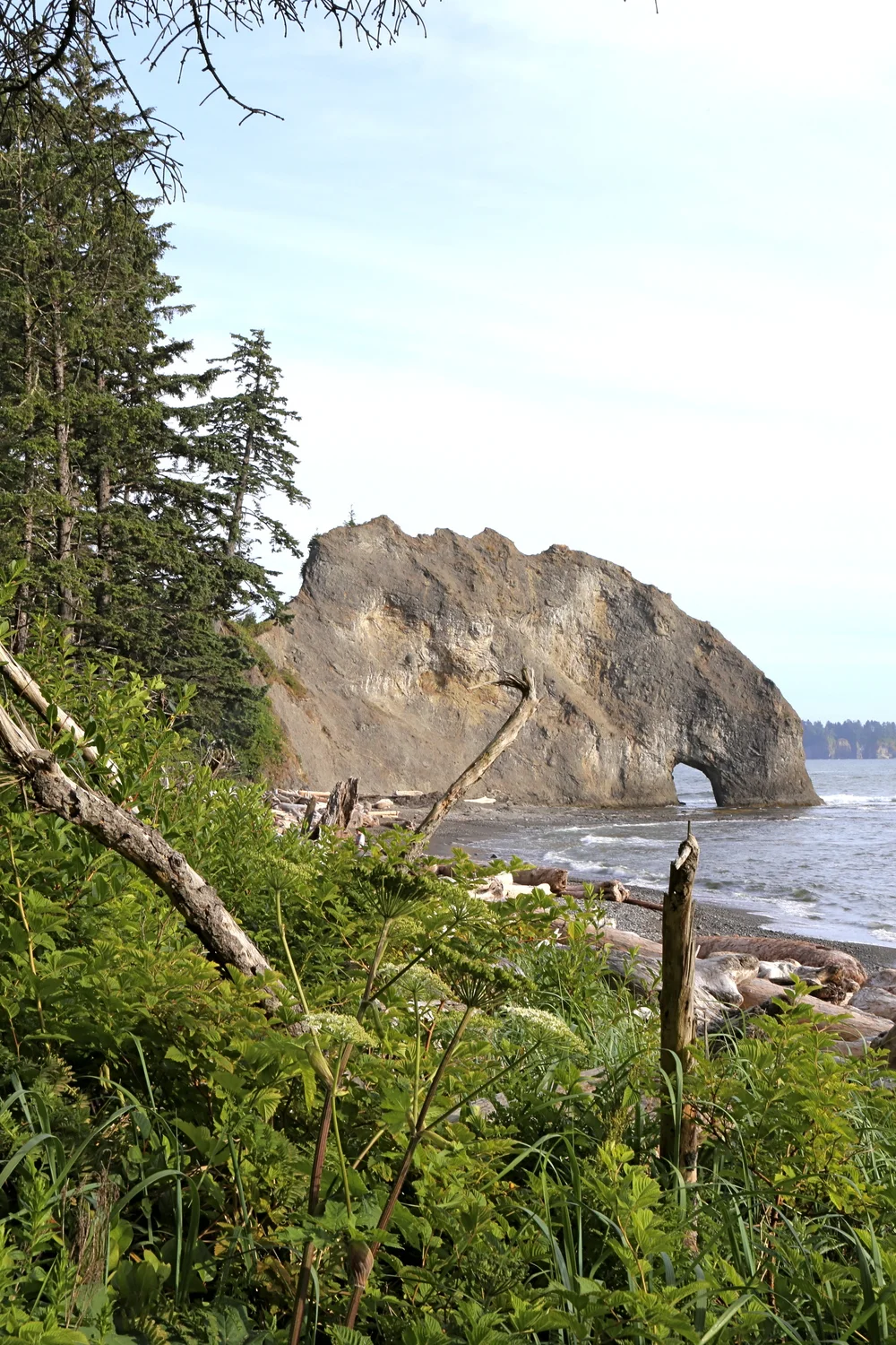 Camping on the Washington coast