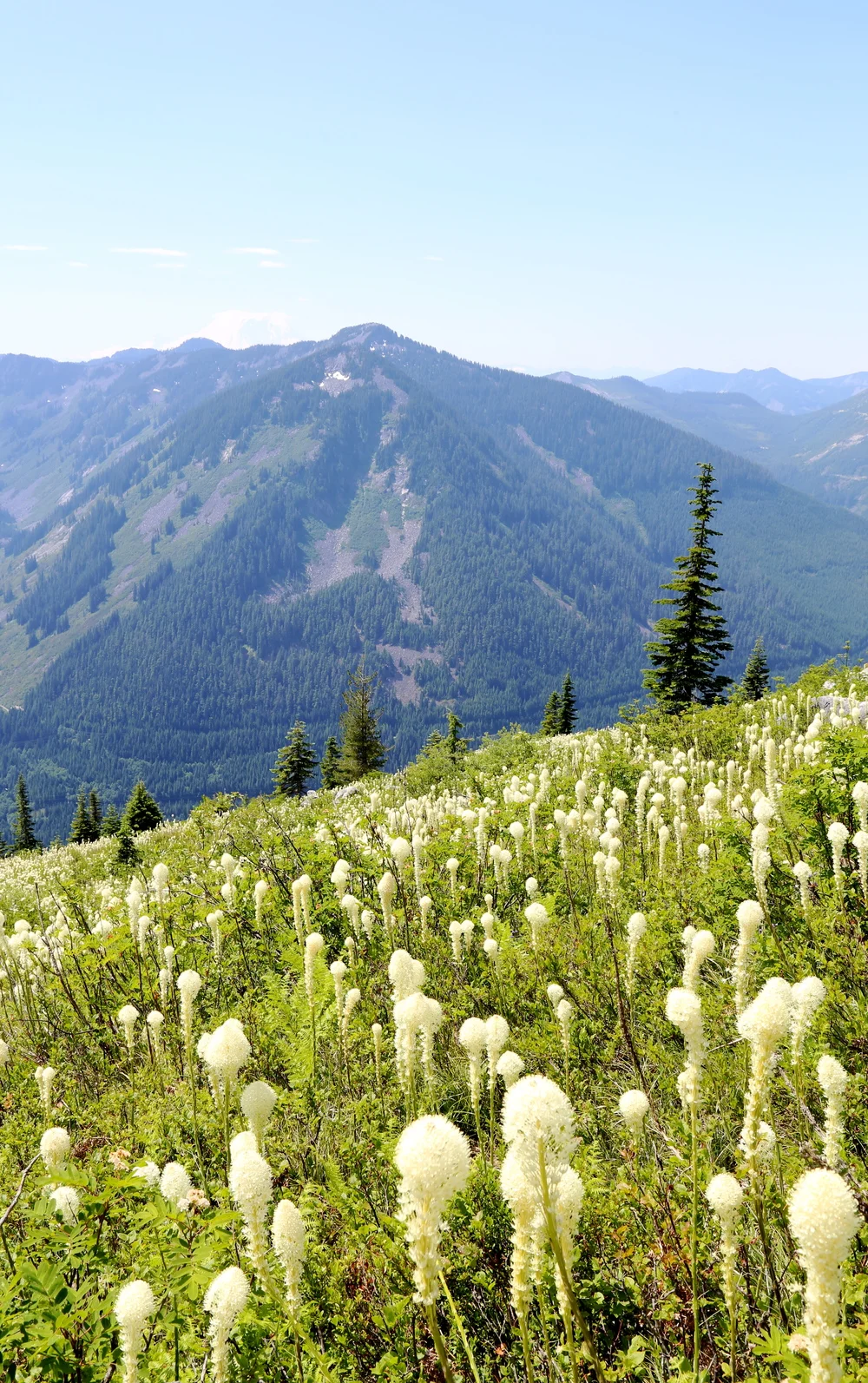 Hiking up Granite Mountain and staying active during pregnancy