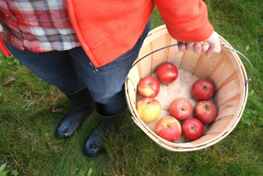 Looking forward to Fall