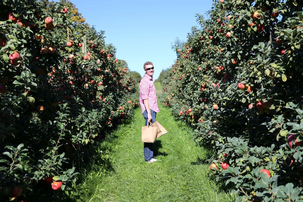 Bellewood Acre Farms