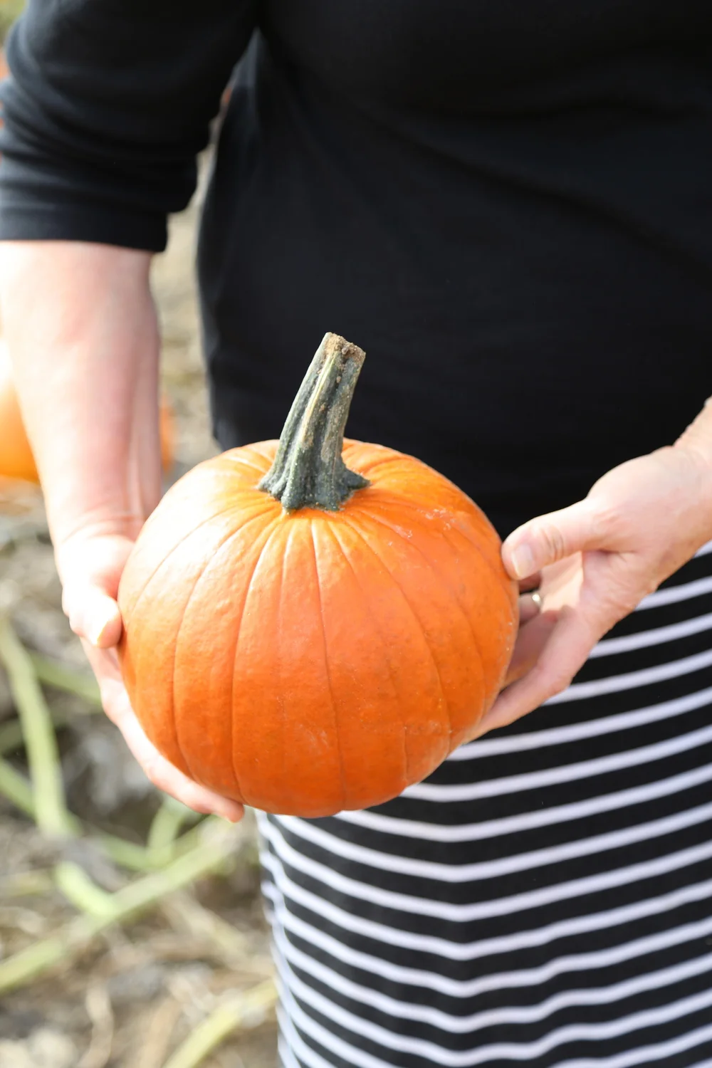 An afternoon with Mom