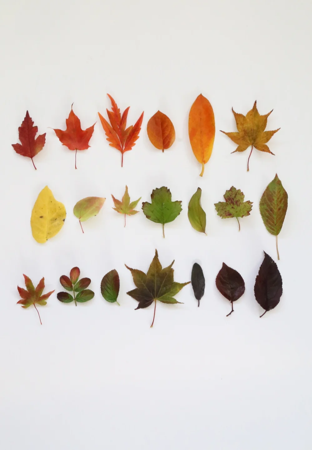 Learning to slow down