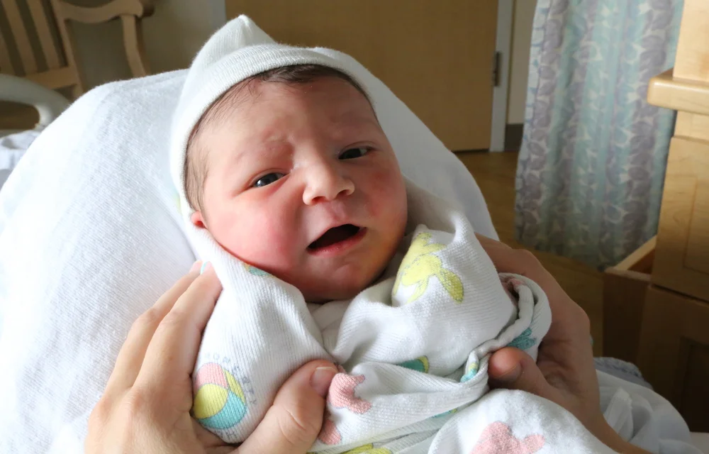 Welcome home Jasper!