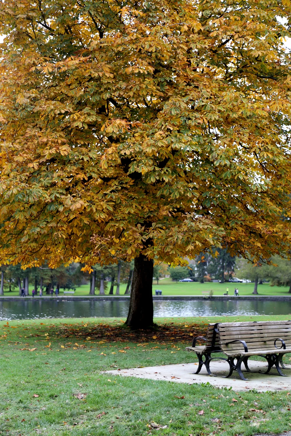 Walking around Greenlake