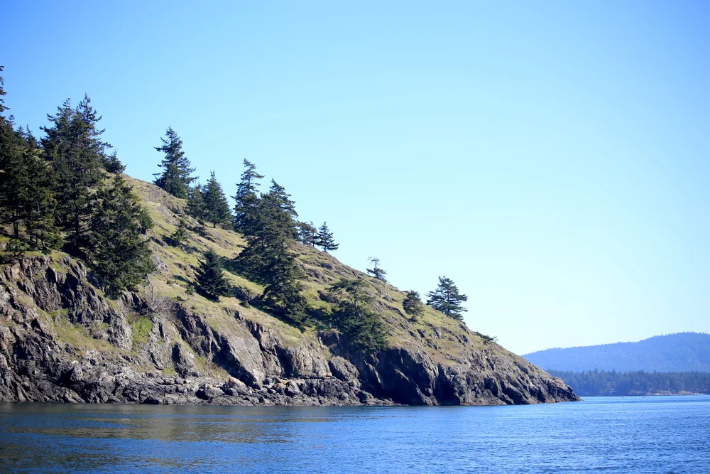 Whale Watching with San Juan Safaris