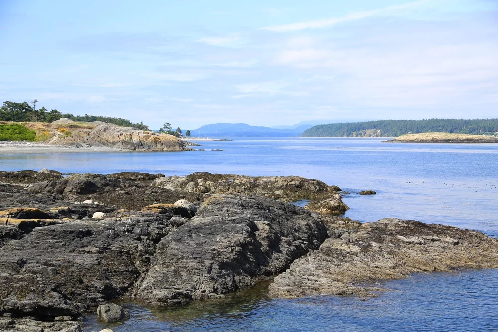 Highlights of San Juan Island