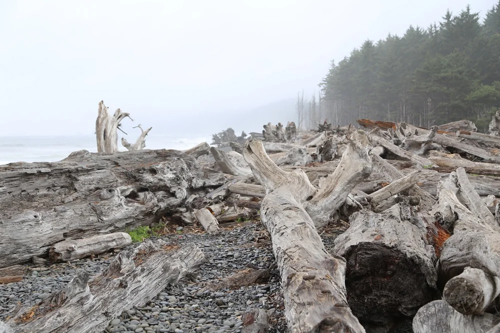 Annual tradition: Camping on the Washington coast