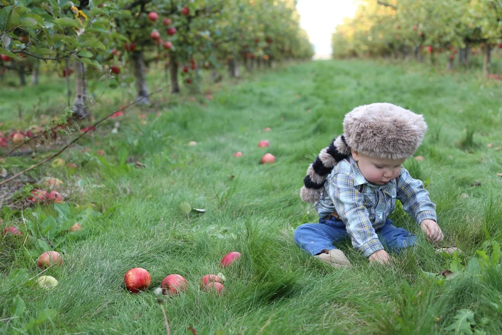 Apple orchard and pumpkin patch photo shoot