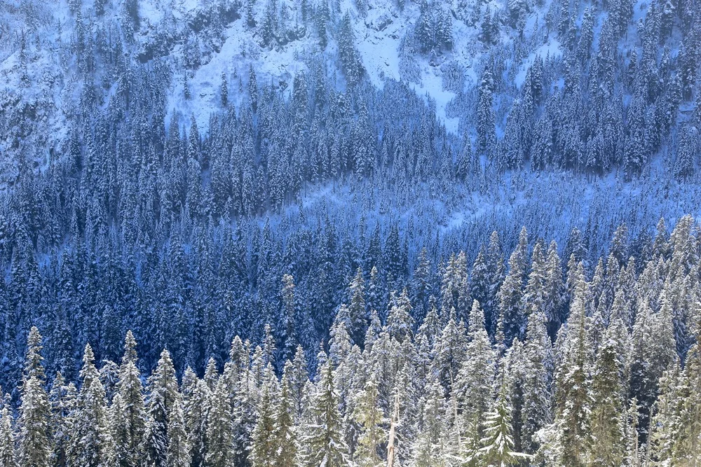 A wintry hike up to Snow Lake
