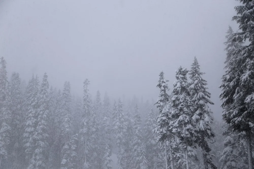 Walking in a Winter Wonderland