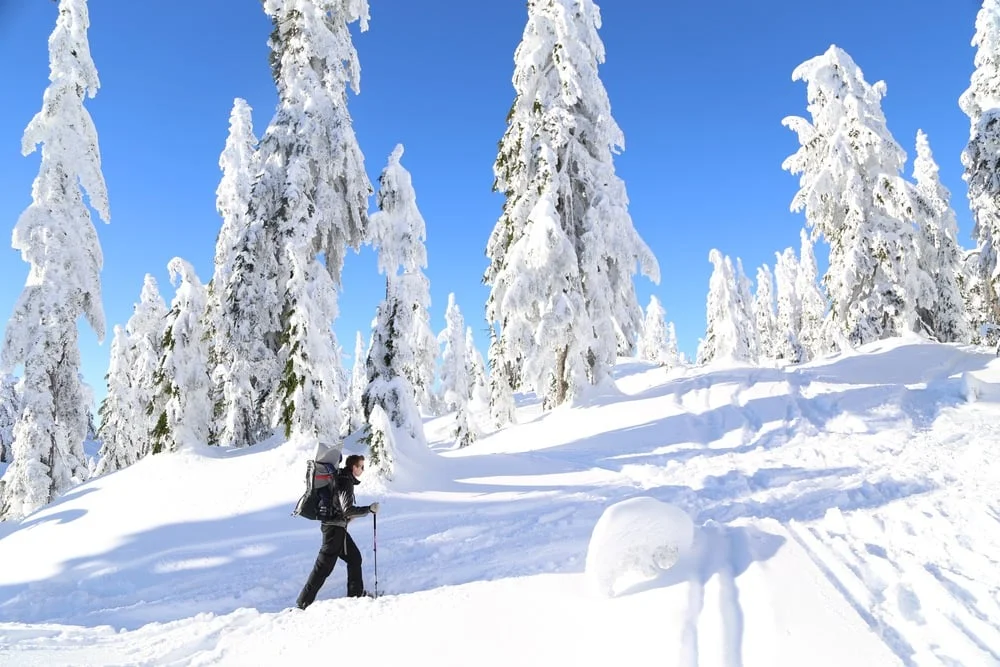 Snowshoeing at Cypress Mountain