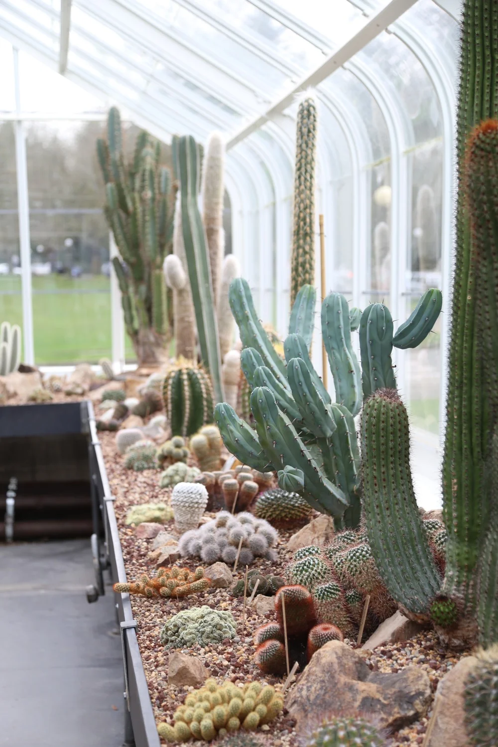 Volunteer Park Conservatory