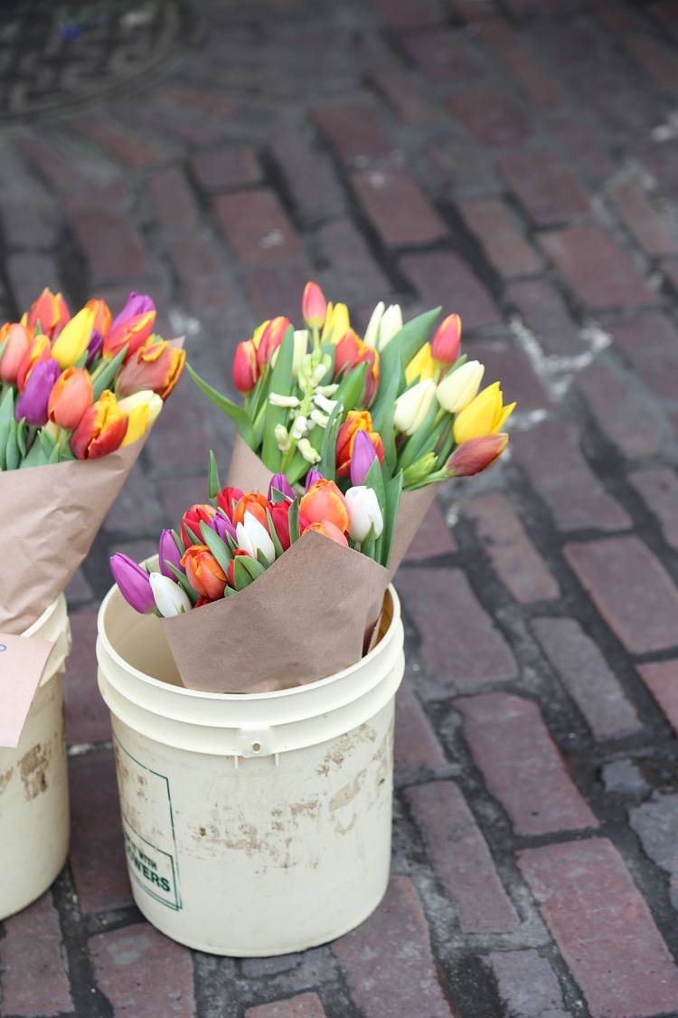 Spring time in Seattle