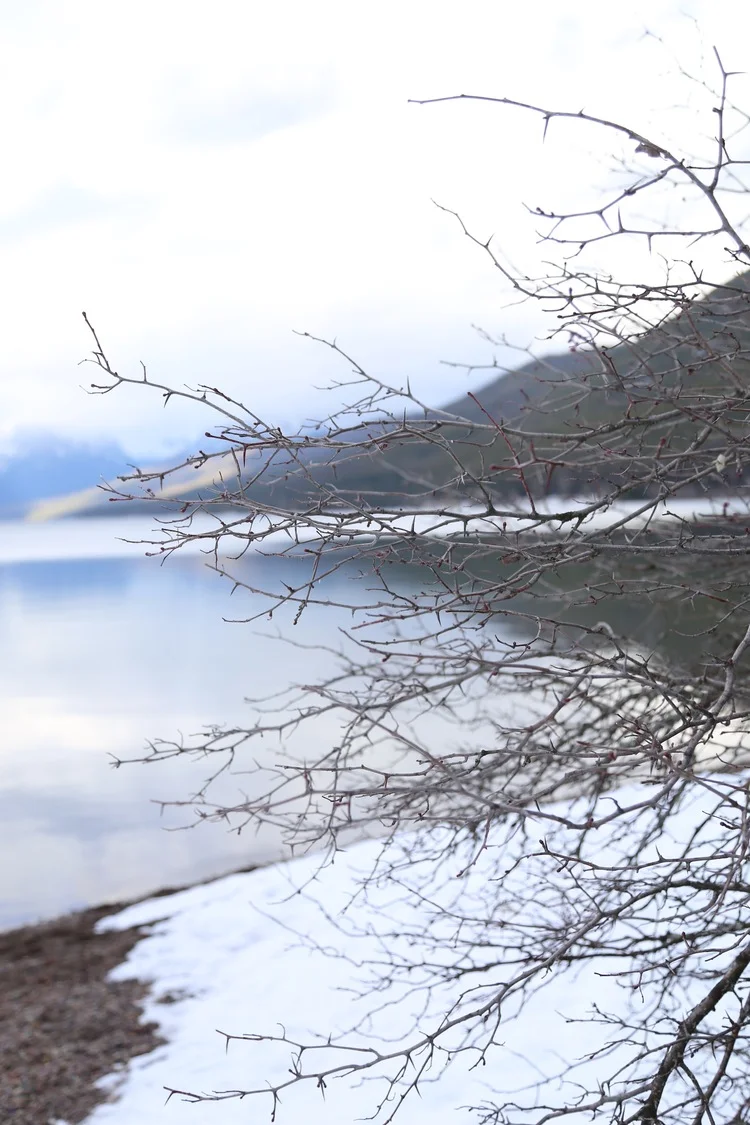 Glacier National Park in the Winter
