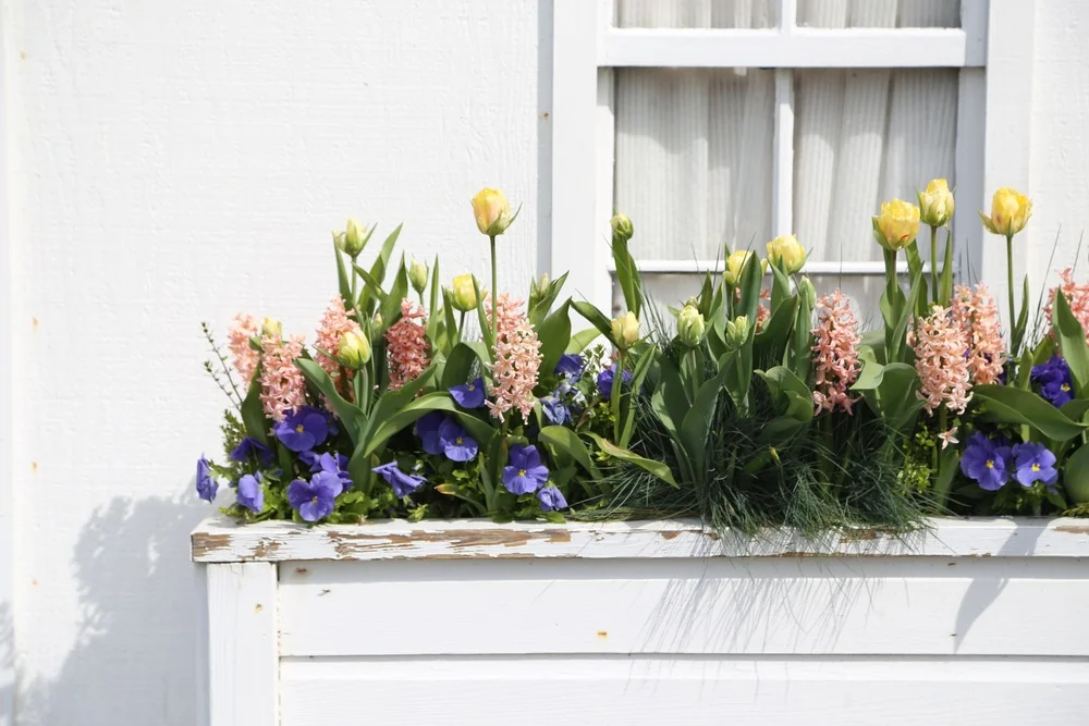 Roche Harbor in the Spring