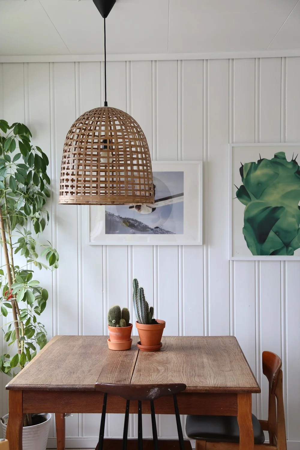 Bright and bold in Bergen