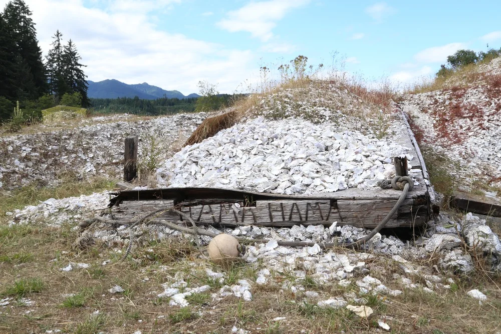 Outstanding in the Field at Hama Hama Oysters
