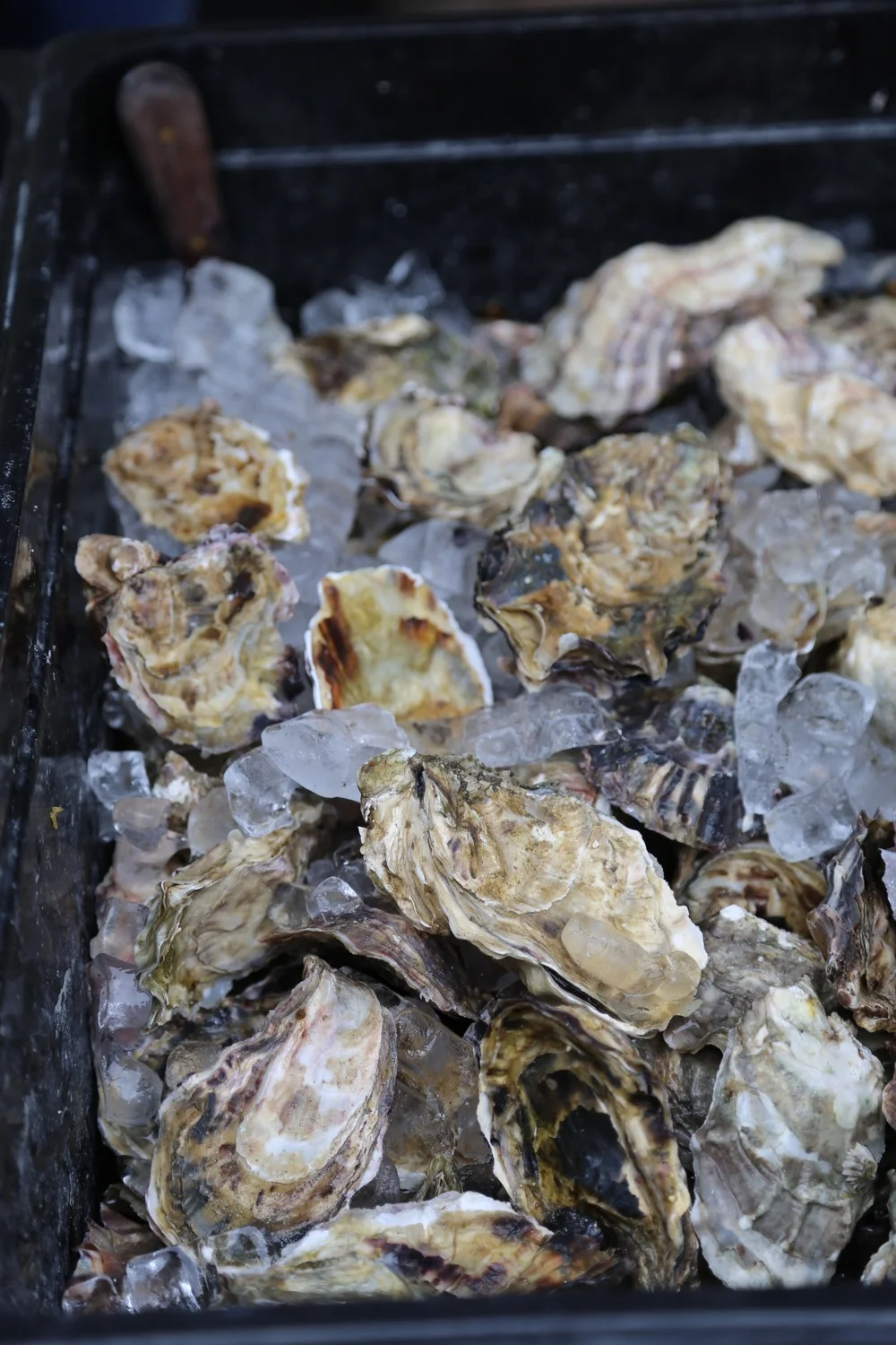 Westcott Bay Shellfish Company