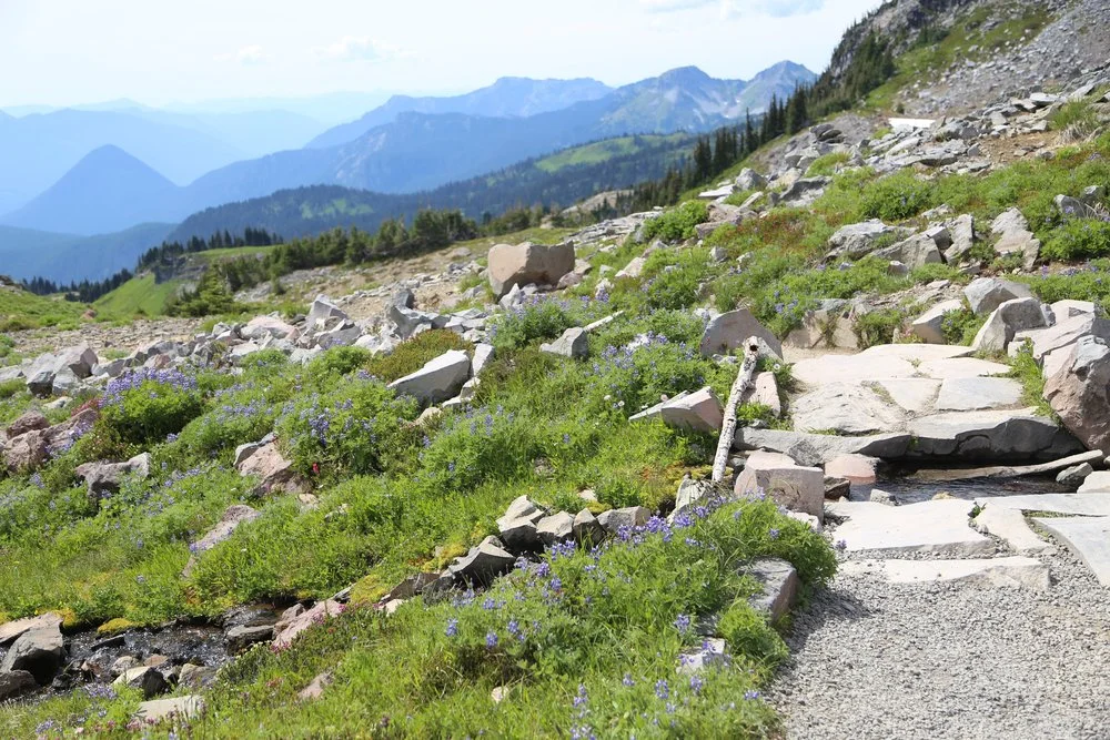 Hiking around Mount Rainier