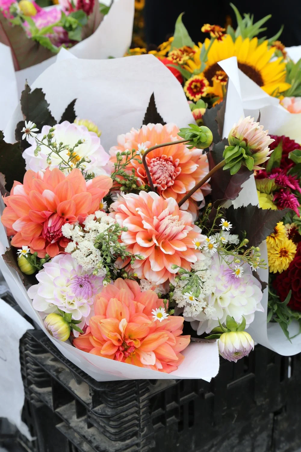 Edmond's Saturday market