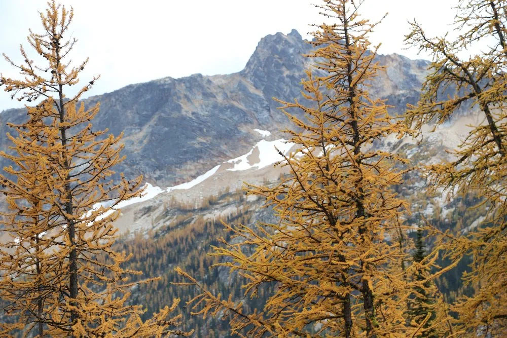 Our annual fall trip to the North Cascades