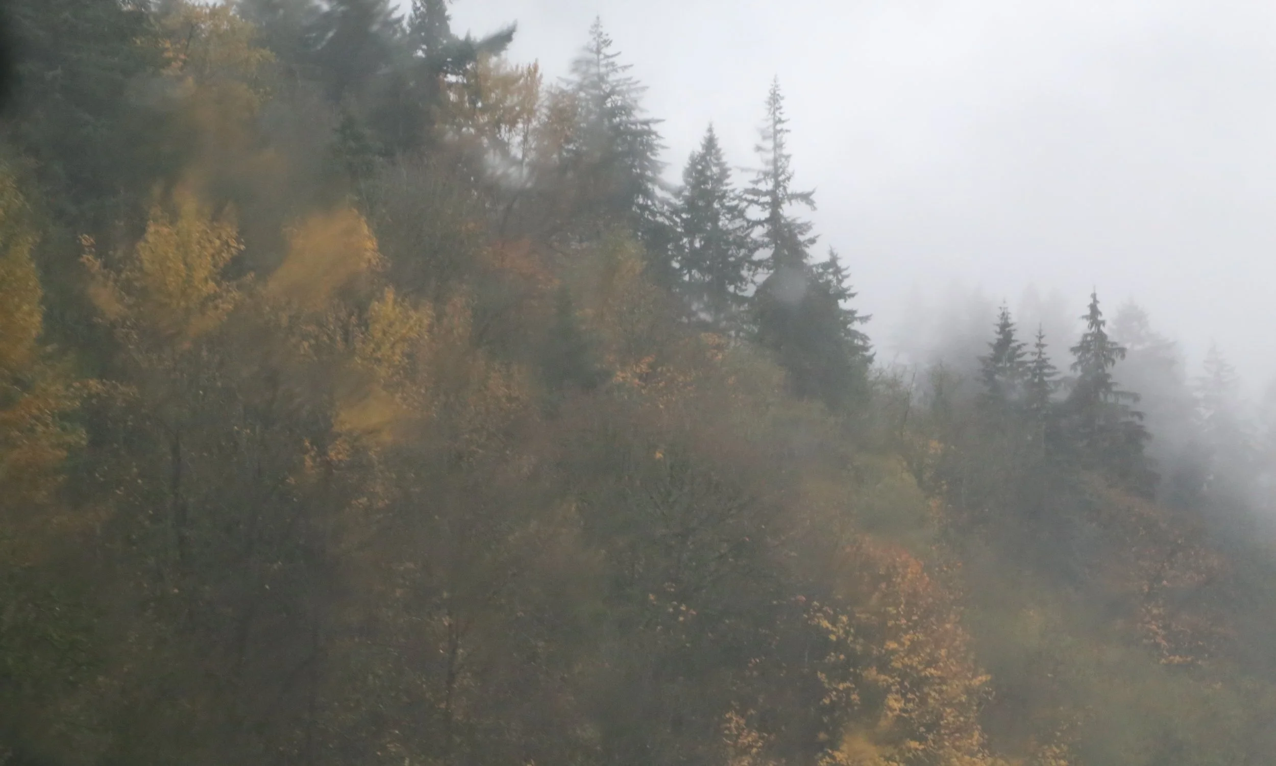 How do you combat the blues?