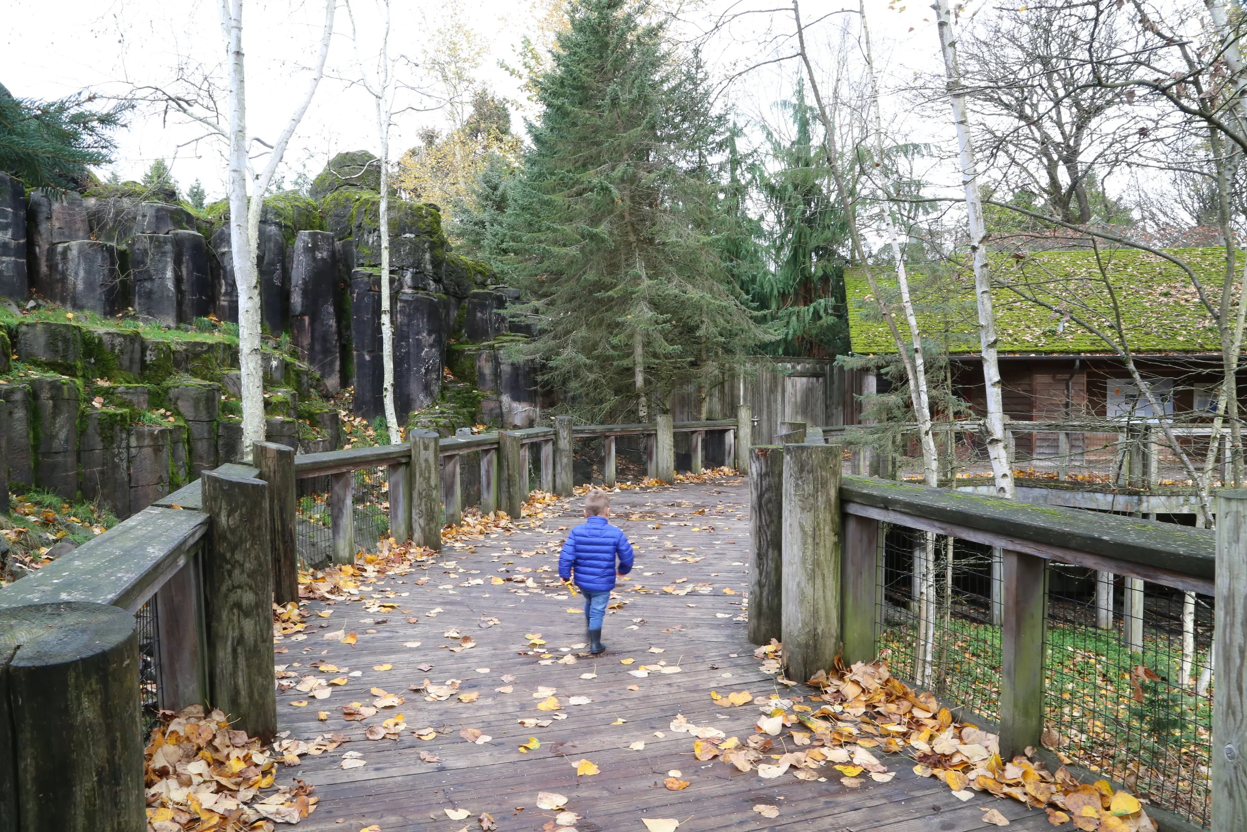 Out and About with Kids: A day at the zoo