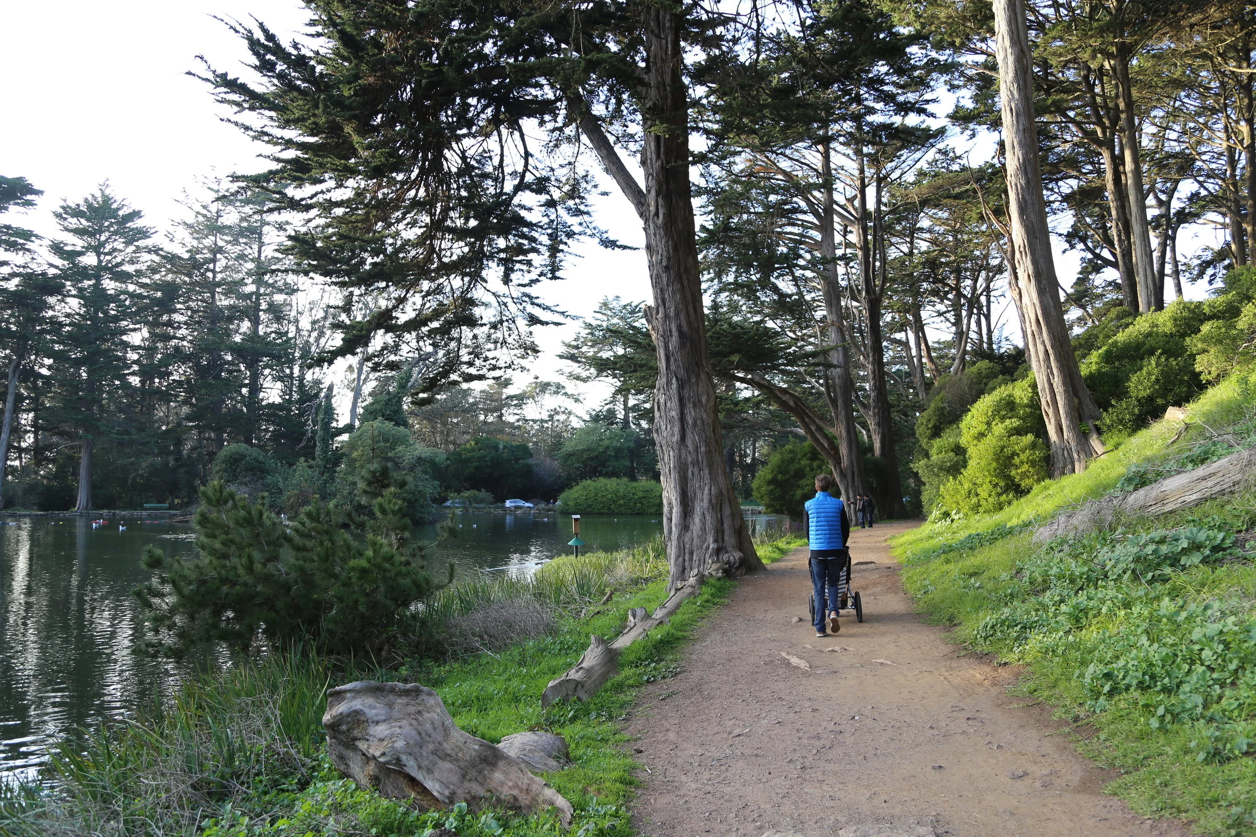 Golden Gate Park
