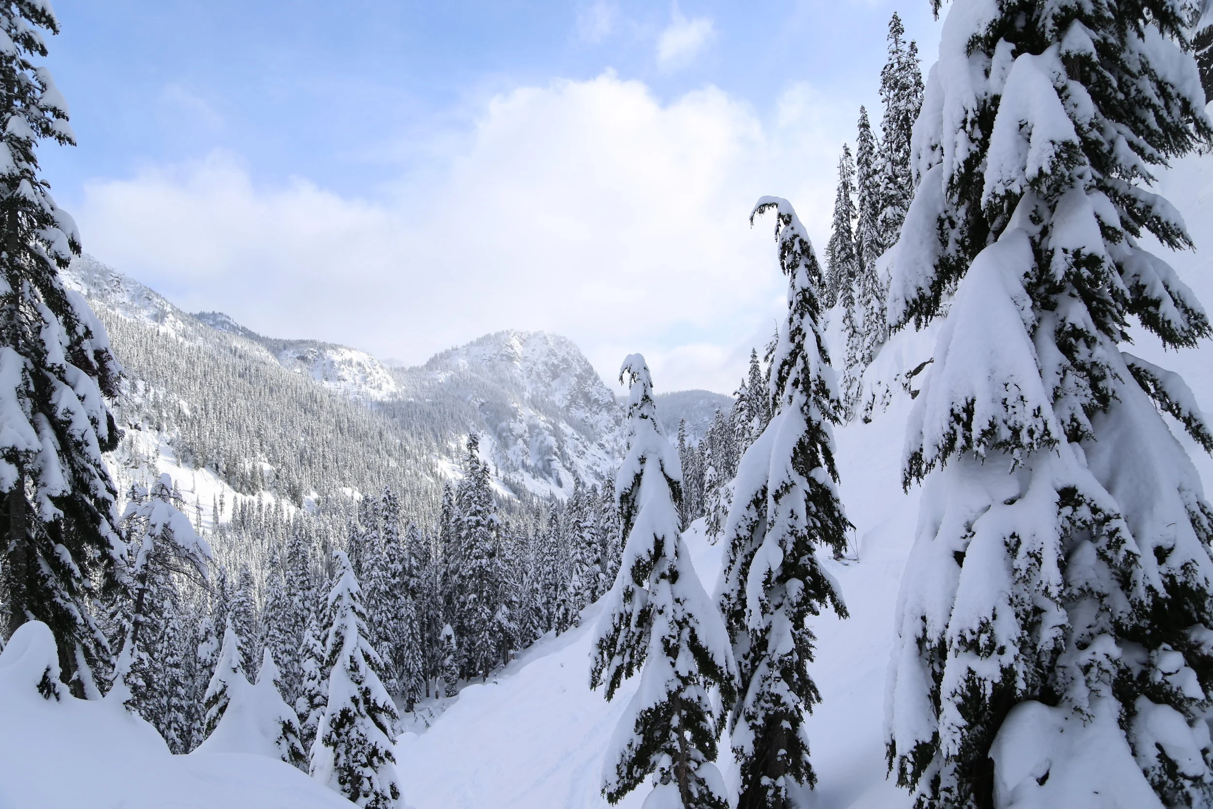 Out and About with Kids: Snowshoeing at Snoqualmie Pass