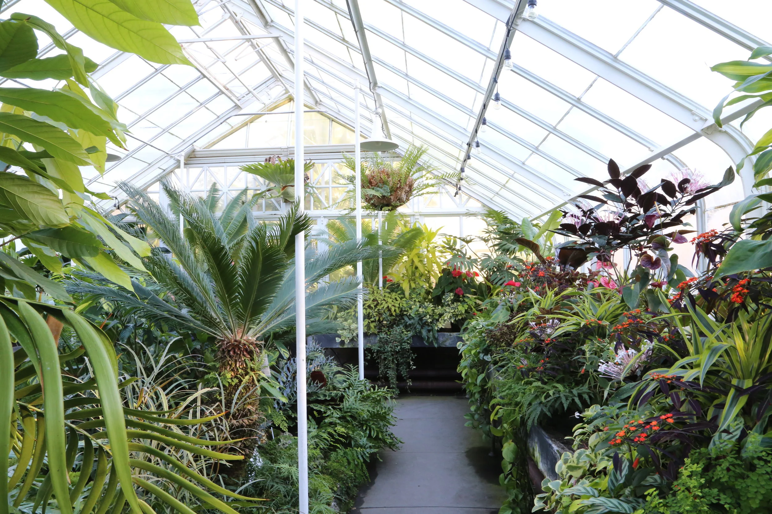 Out and about with kids: The perfect day "date" with your little valentine