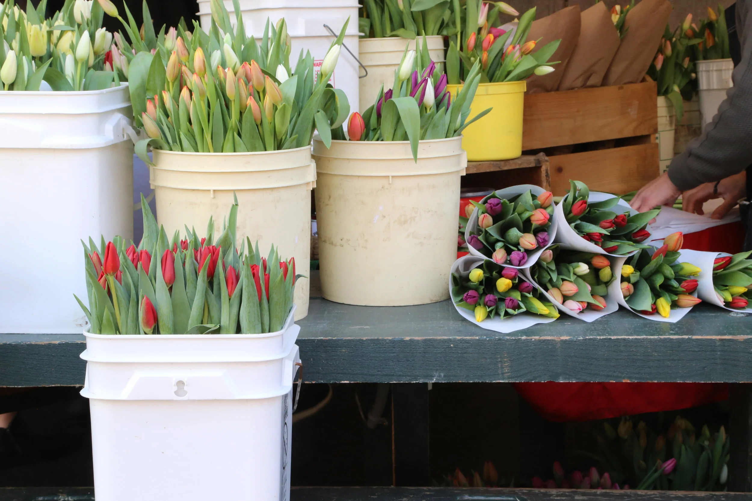 A little hope of Spring: Pike Place Market