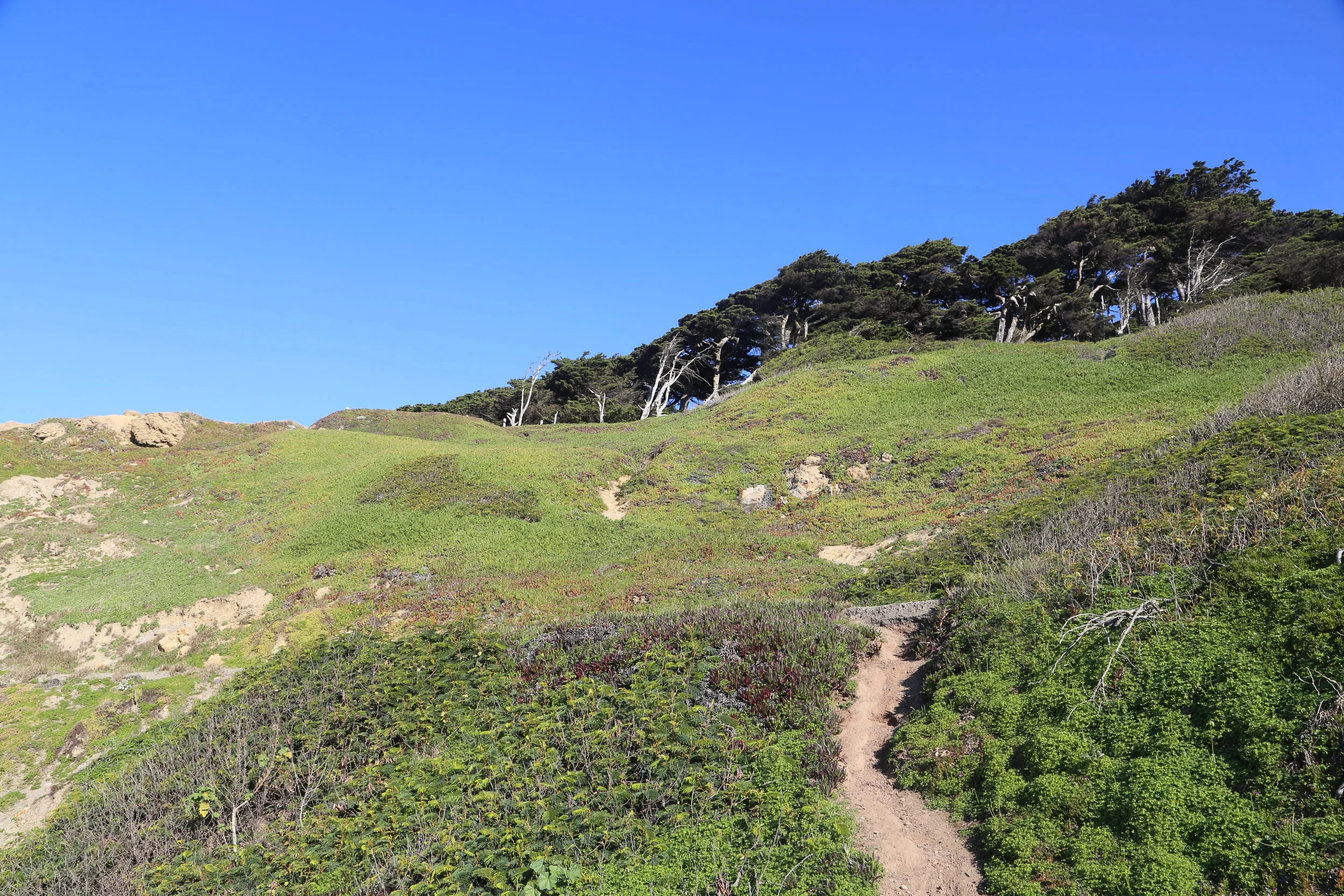 Land's End and Sutro Baths