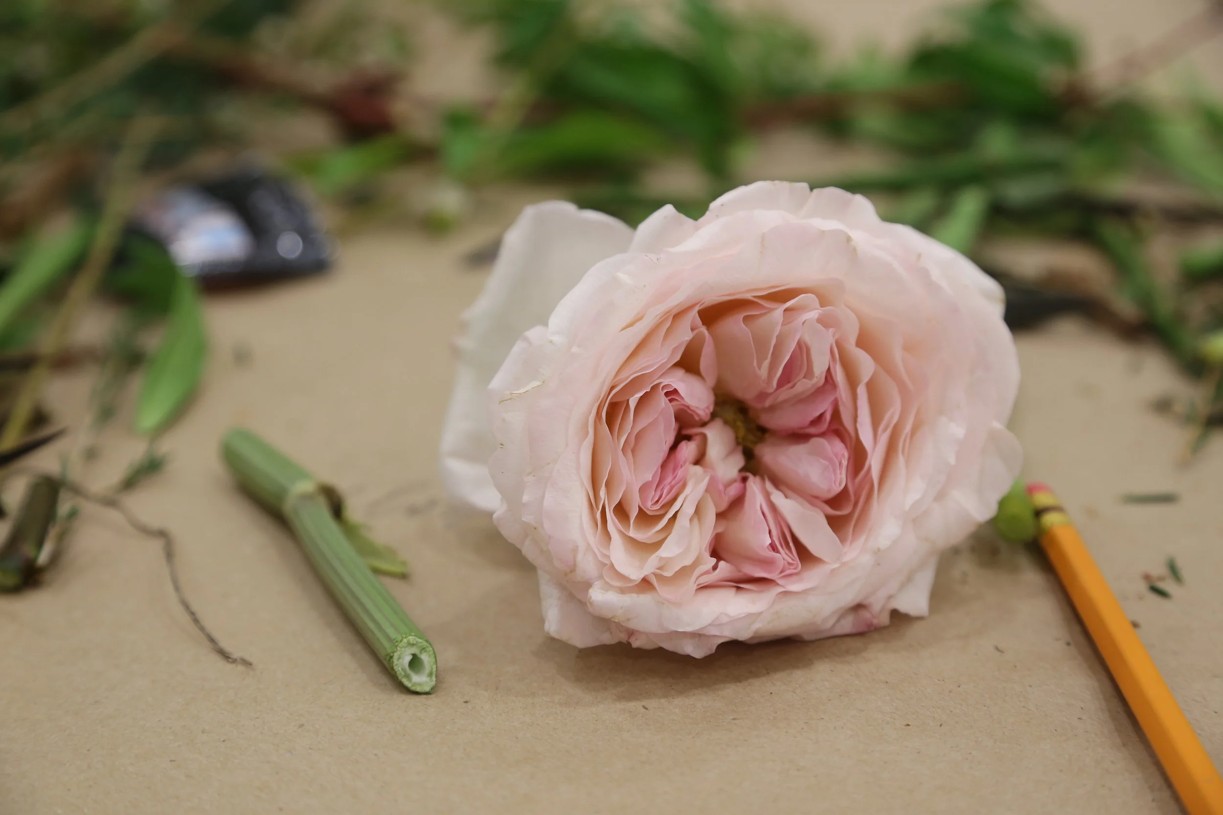 Flower Arranging Class with CJP & Co.