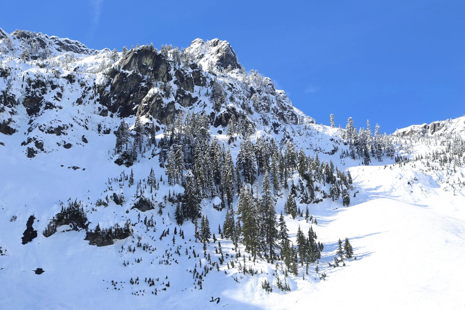 Sharing what we love to do with others