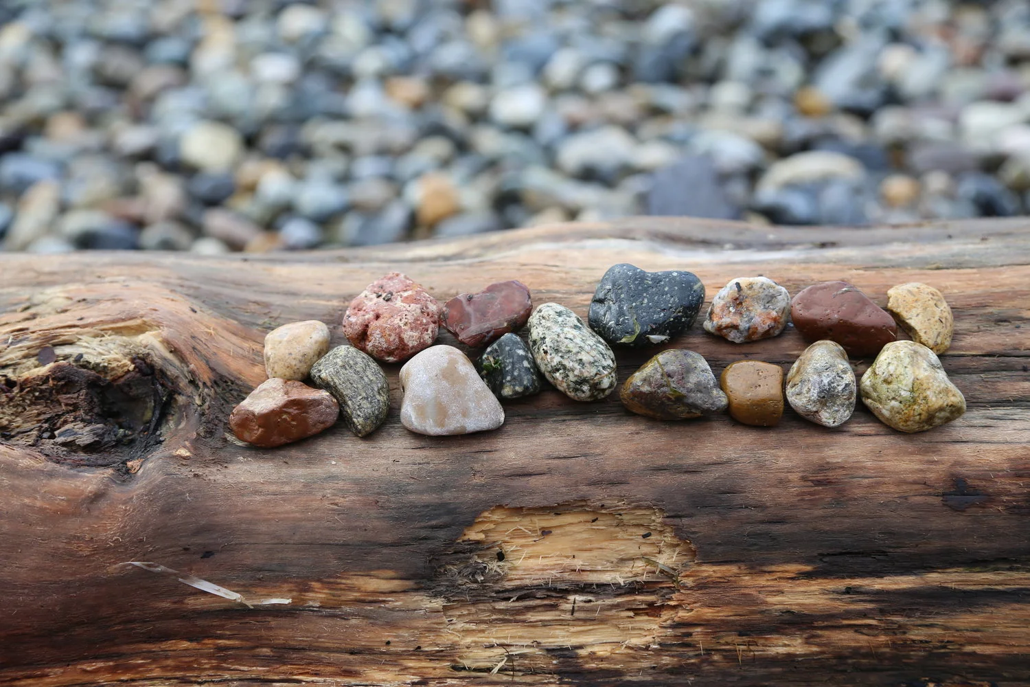 Photographing the everyday