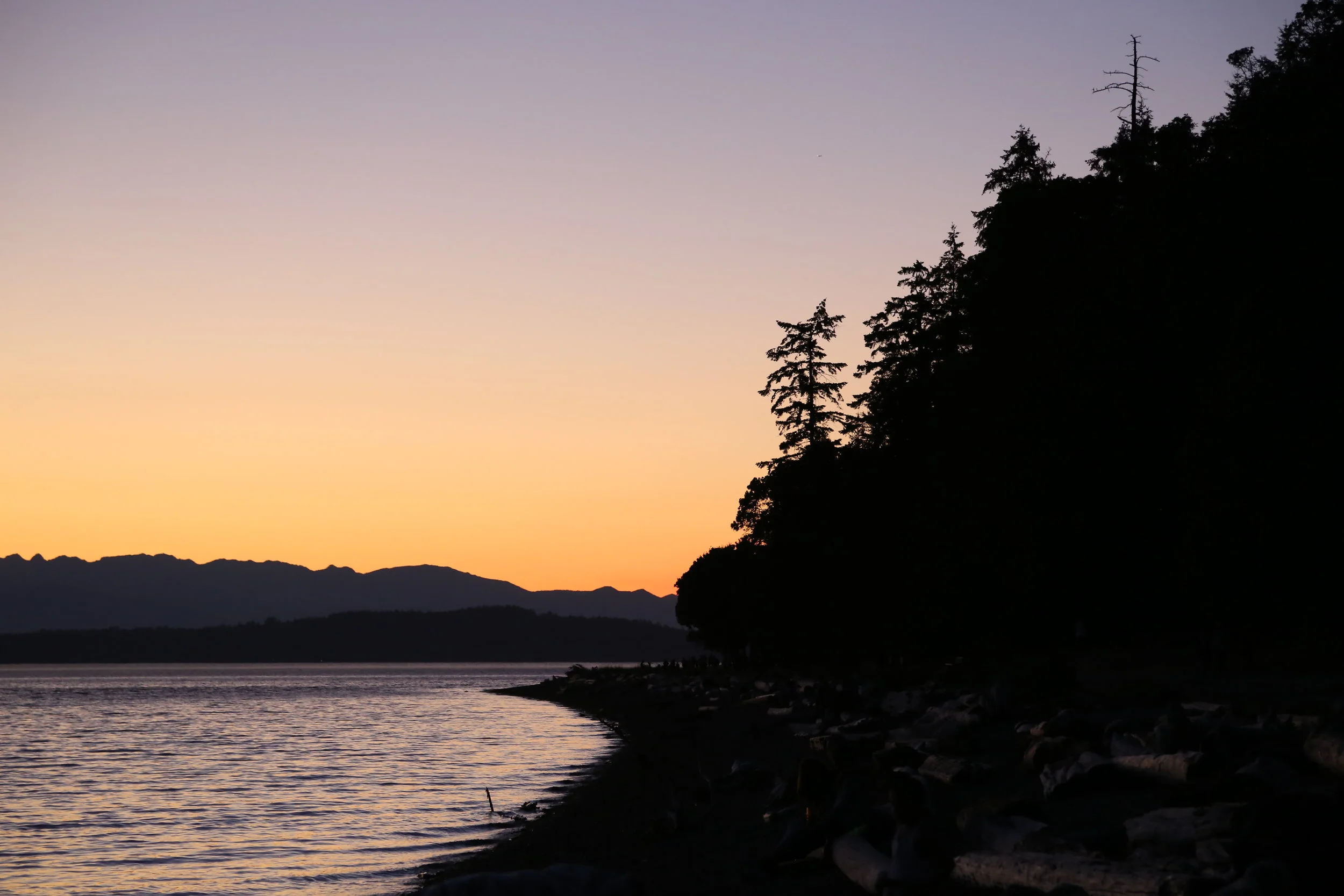 This Week's Discoveries