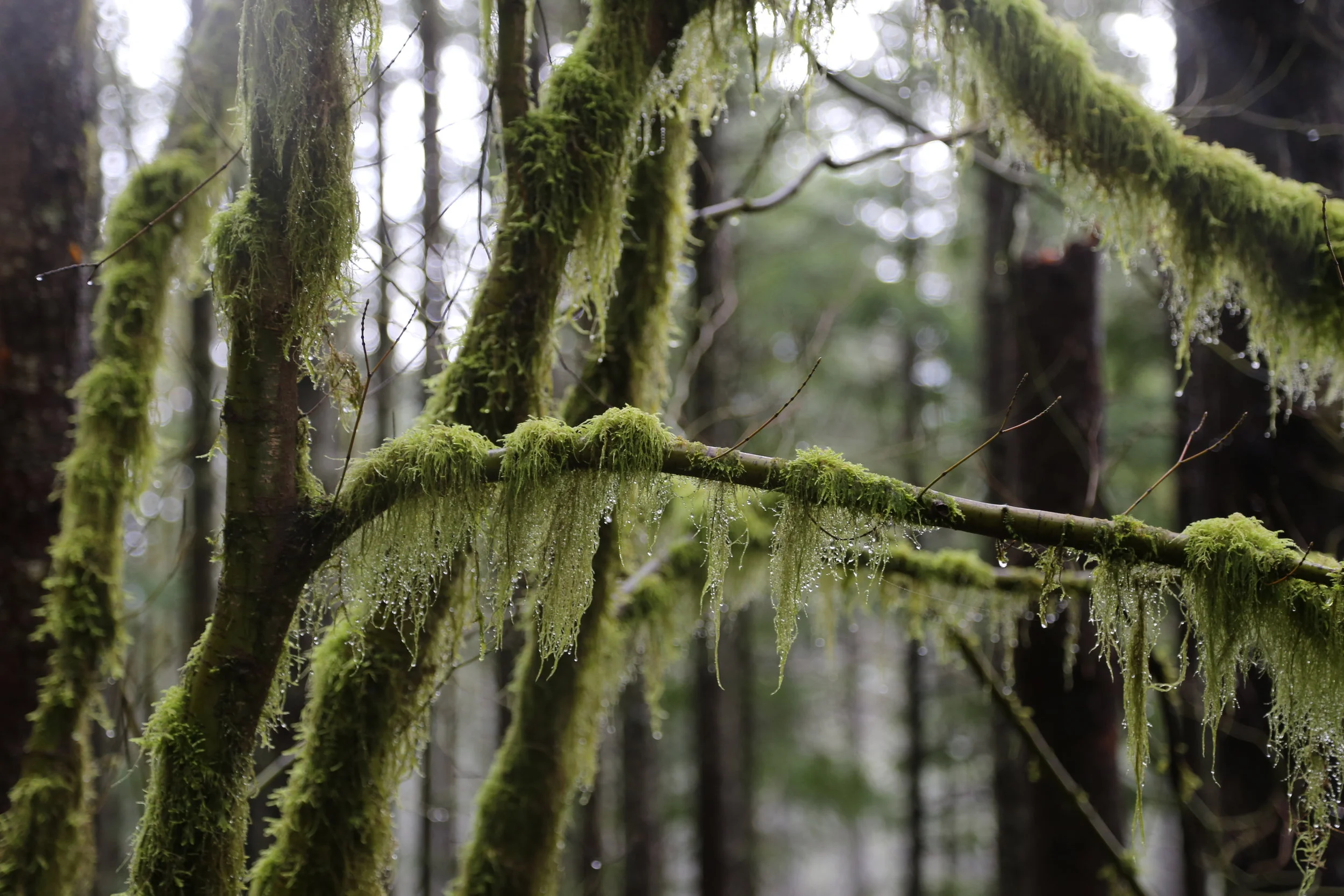 Staying fashionable in all seasons of life
