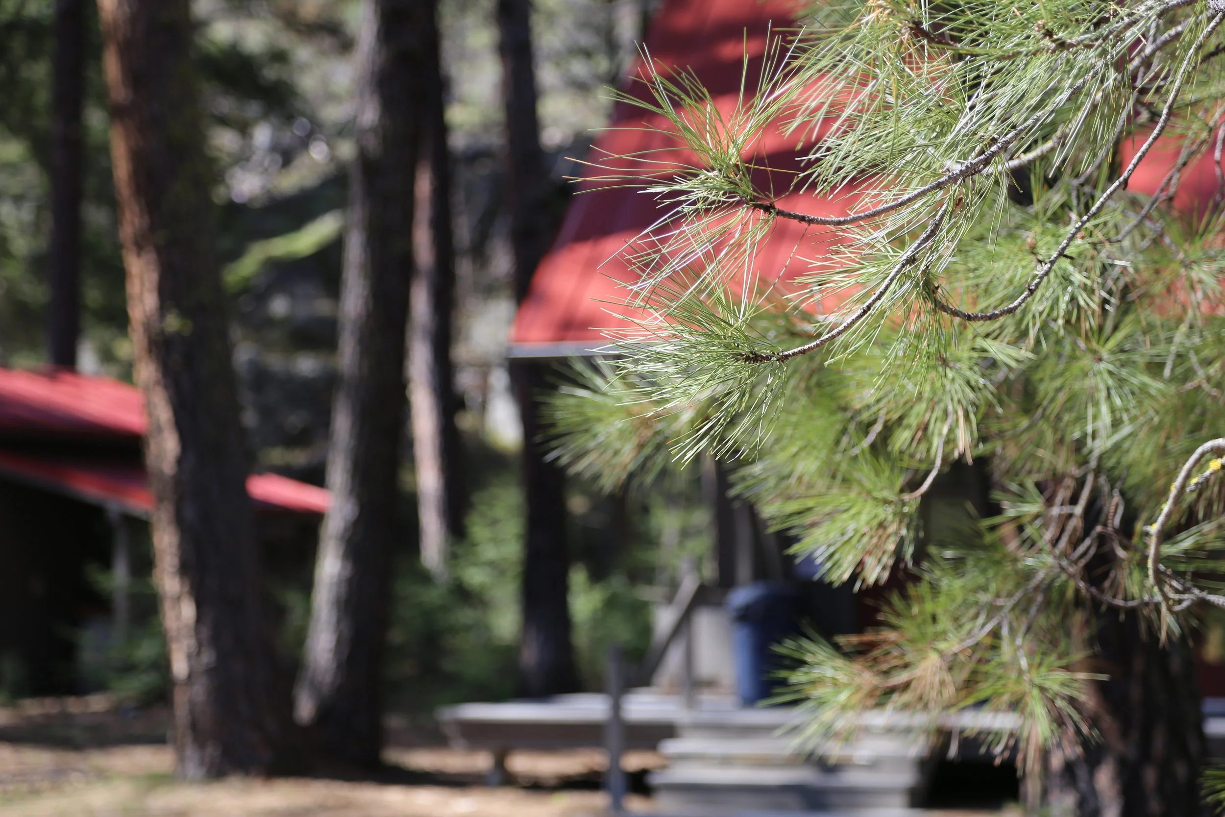 Sleeping Lady Mountain Resort