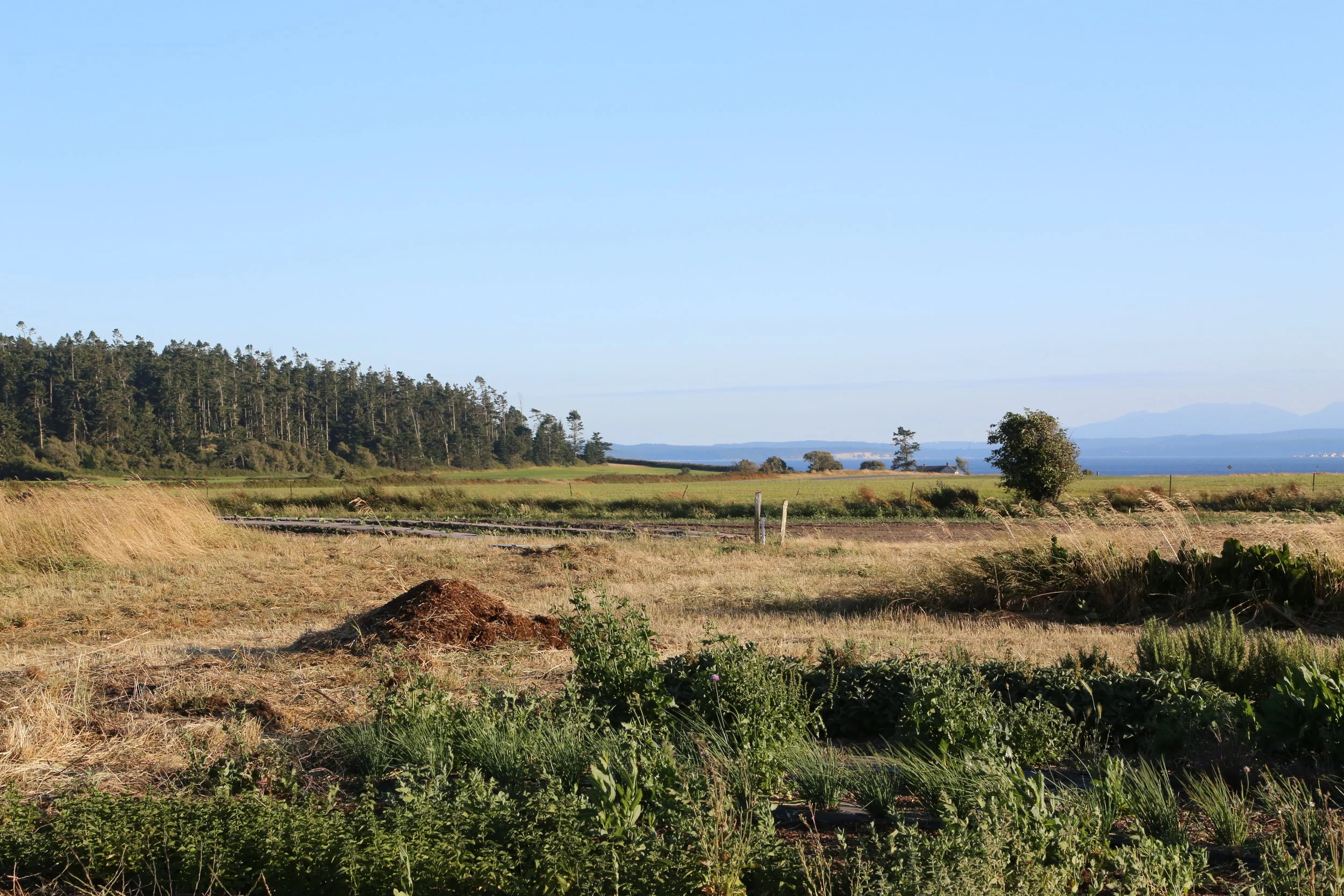 Outstanding in the Field with Willowood Farm