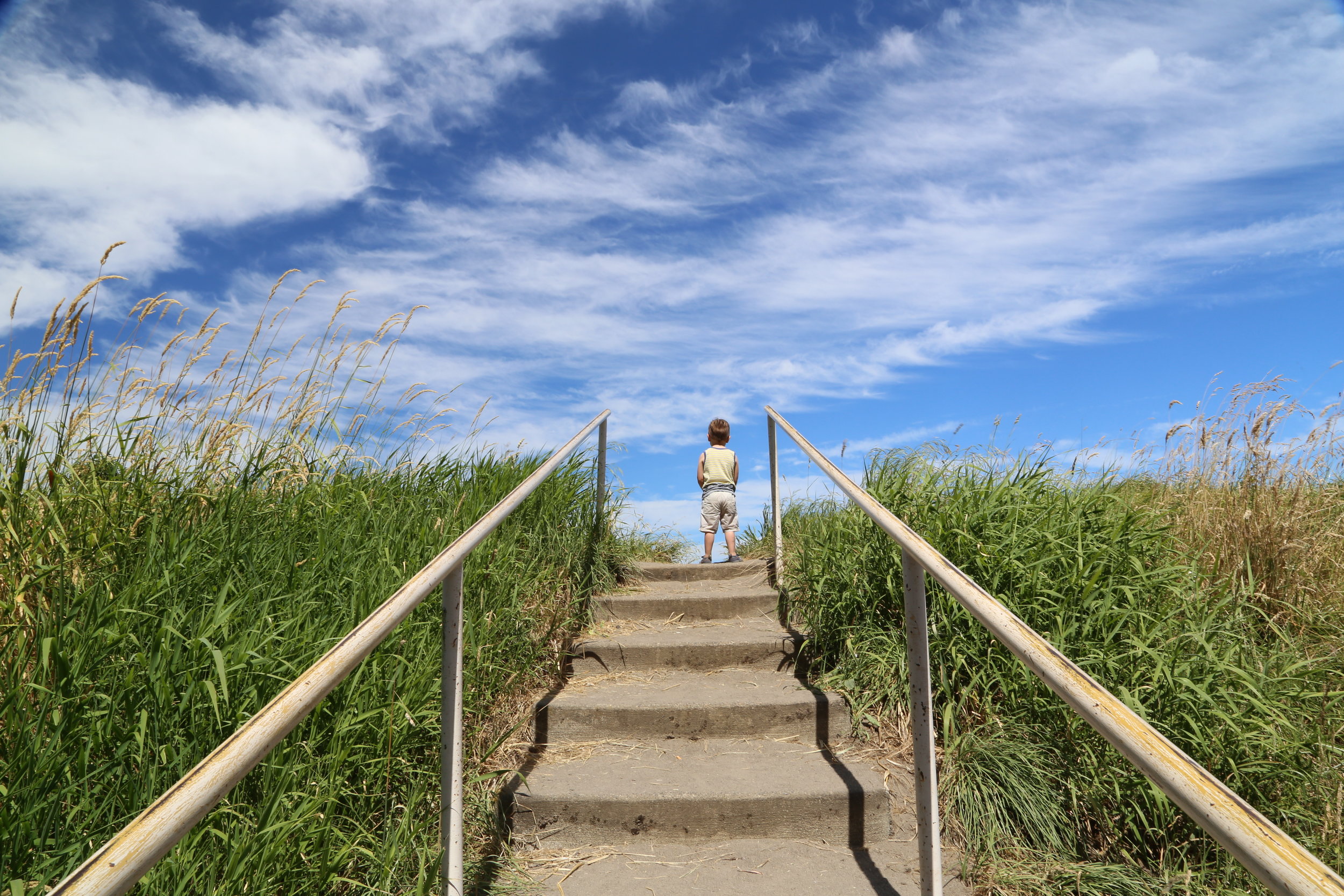 Sauvie Island and Portland getaway