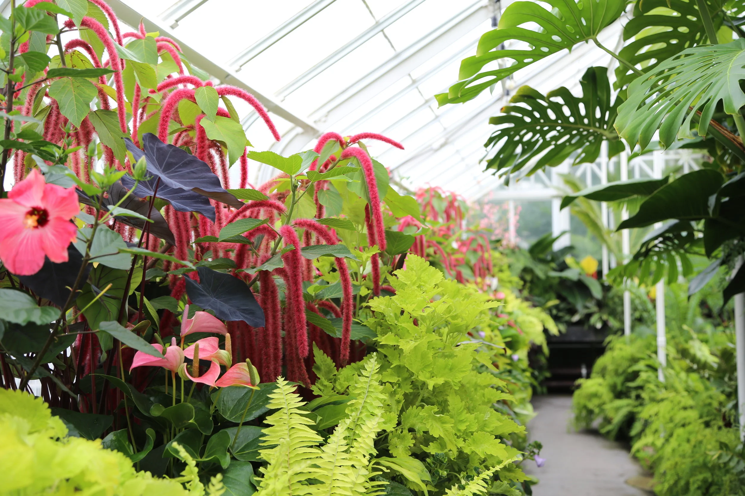 Out and About with Kids: Volunteer Park Conservatory and playground